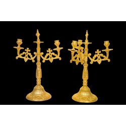 CS19203 Δικεροτρίκερα Χυτά